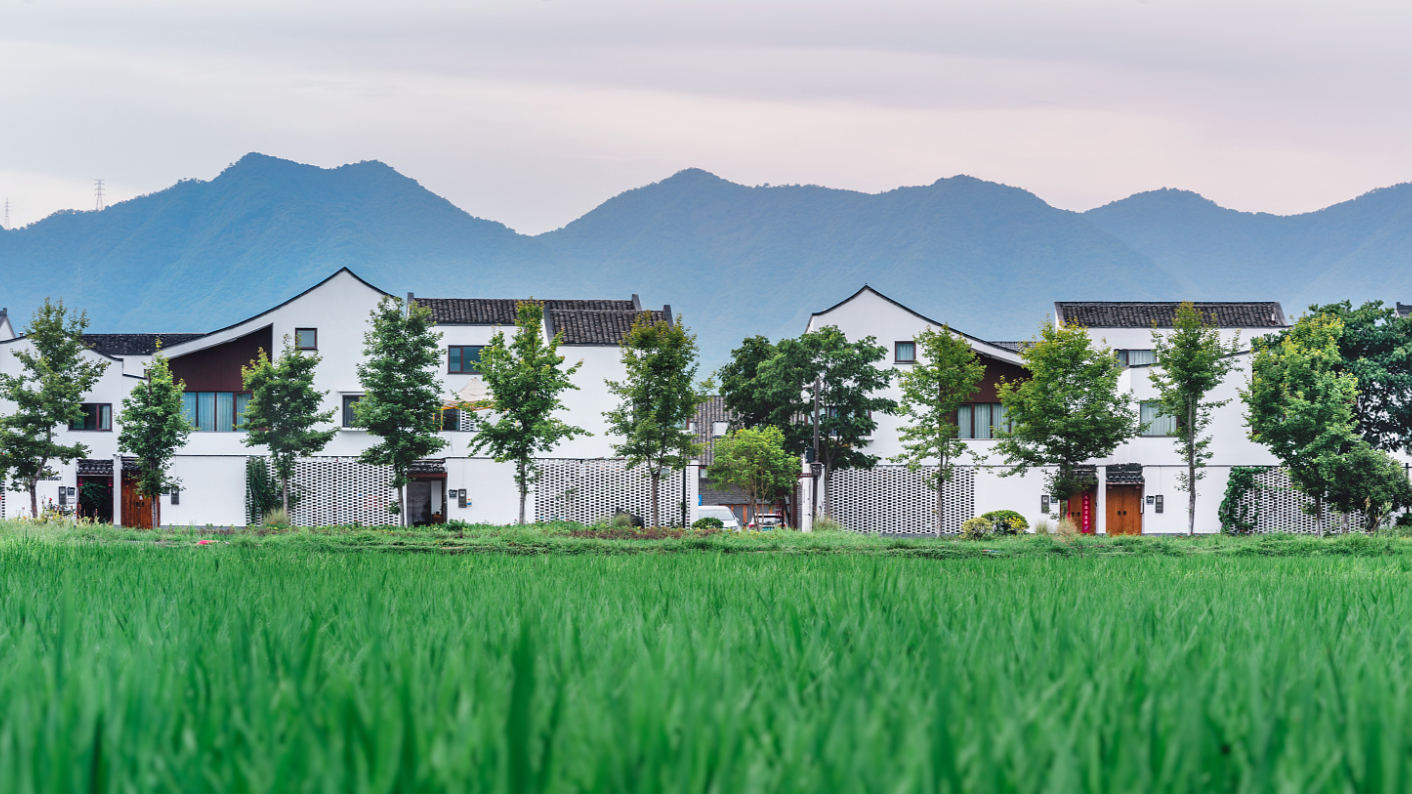 Программа защиты окружающей среды Китая помогает сельским жителям ...