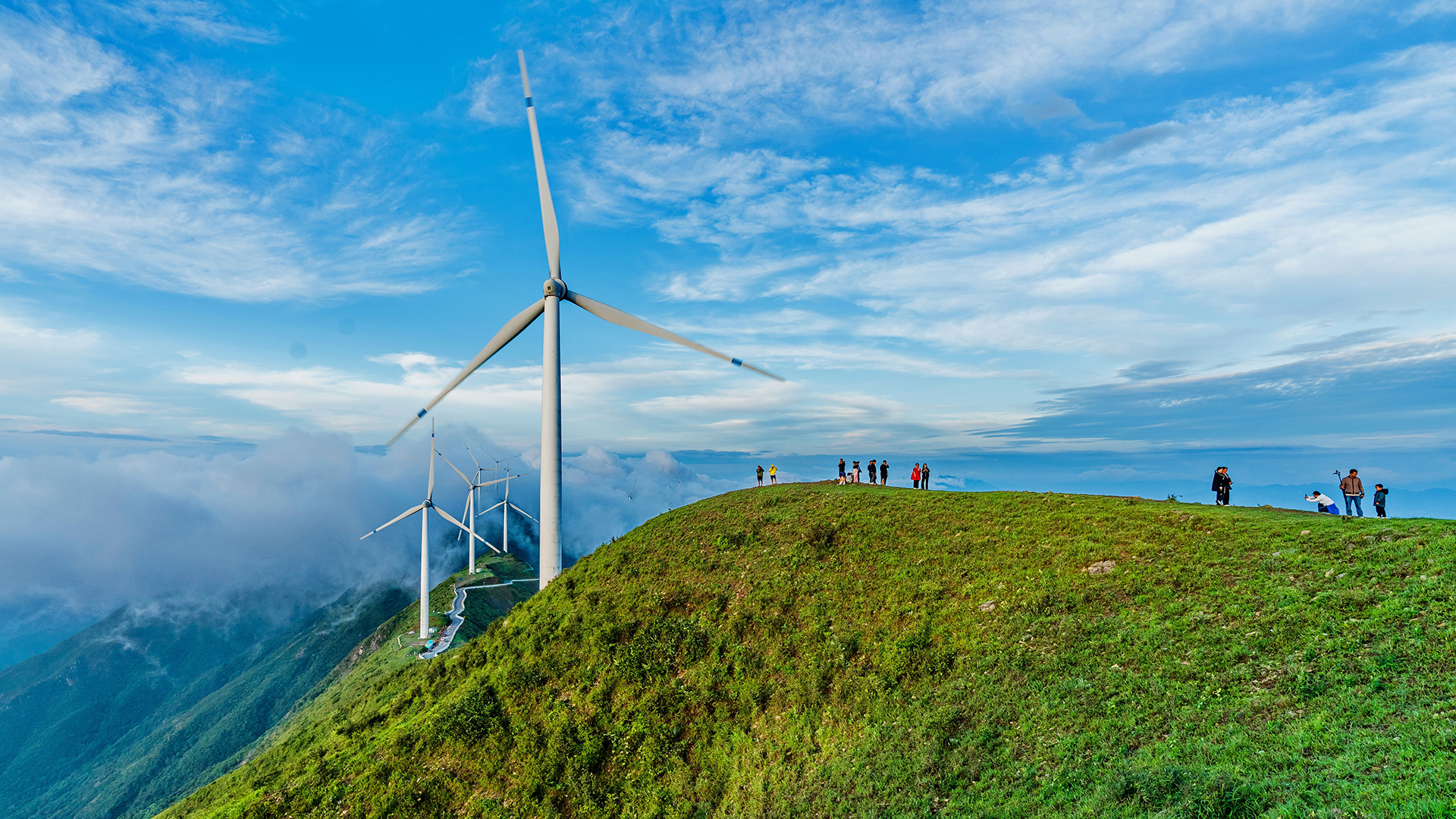 Международный форум по пику выбросов углерода и углеродной ...