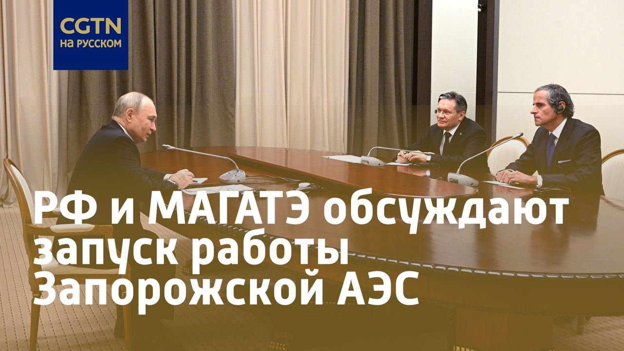 Владимир Путин и Рафаэль Гросси обсудили вопросы ядерной безопасности -  CGTN на русском